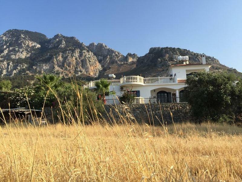 Villa Layla Kerínia Kültér fotó